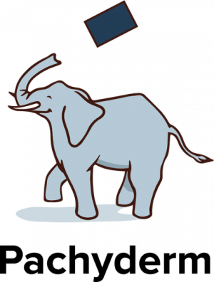 Pachyderm