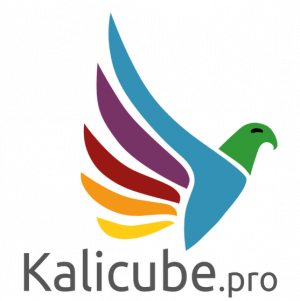Kalicube Kalicube
